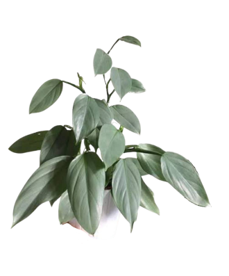 6b0de74d-49ee-48e5-9595-460685c66ce6